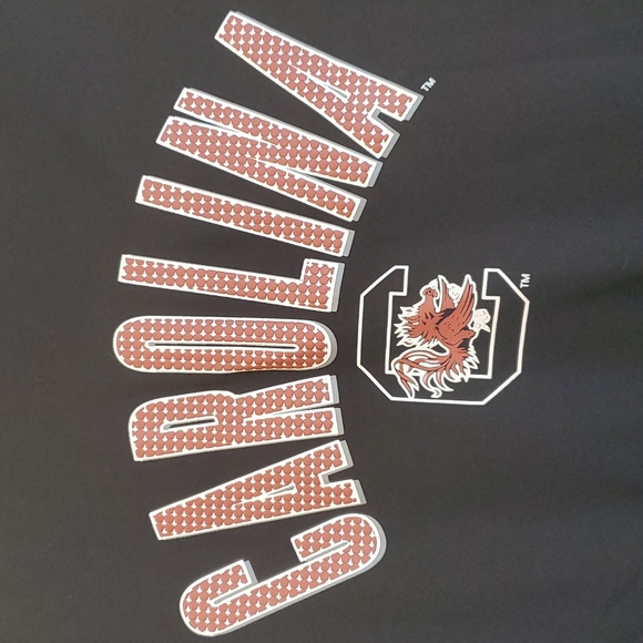 Champion Carolina Gamecock Hoodie - Size Medium - Picture 2 of 4